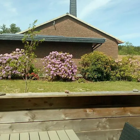 Apartment Hof Sturenberg *